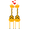 2 giraffes (ddp)