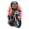 CAT RIDER