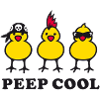 peep cool (b)