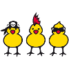 three chicks (b)