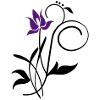 Orchidee / orchid (2c)