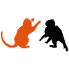 kämpfende Katzen / cat fight (2c)