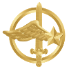 coylogo png