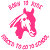 reiten
