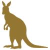 cangaroo