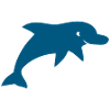 dolphin