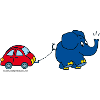 The elephant with car