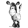 Drôle d'âne - Cheval - Animaux