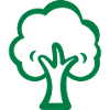 baum