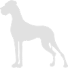 Slender Great Danes Silhouette