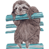 hey mr sloth