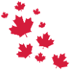 Canada Maple Leave Rain