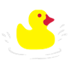 duck