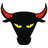 bull corrida