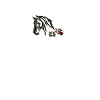 Trakehner Herzensbrecher