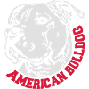 636 American Bulldog