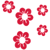 / Fleur