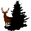Deer in the woods
