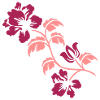 hibiskus2_2c