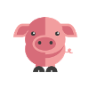 cochon