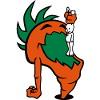 Hungry Carrot