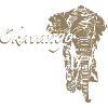 Okavango Elefant