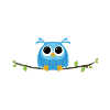Baby owl