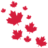 Canada Maple Leave Rain