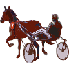 harness racing