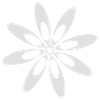 Fleur, Printemps, Été, papillon, Ranke