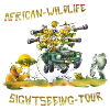 Safari
