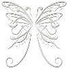 butterfly butterfly