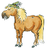 Haflinger (Alpen-Quarter)