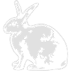 Hase 3 (invers)