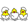 Drei aus dem Ei (c)
