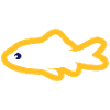 Goldfish