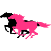 running horses