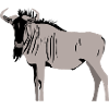 Gnu