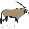 Oryx-Antilope