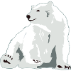 Eisbär