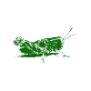 Grille_green.png
