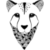 Guépard design