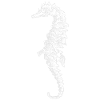 Seepferdchen