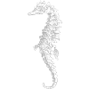 Seepferdchen