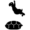 Frühlings Schildkröte / spring turtle (1c)