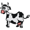 cow /vache / kuh
