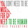 free palestine flag