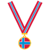gold_medal_no_flag3_clr