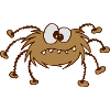 Spinne