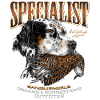 setter and woodcock 14